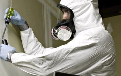 5 Reasons to Call a Chicago Asbestos Removal Company