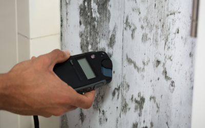 How to Keep Your Home Safe from Mold