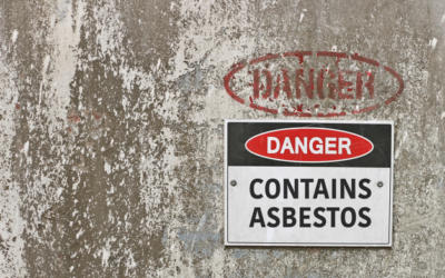 What to Look for in a Schaumburg Asbestos Removal Company