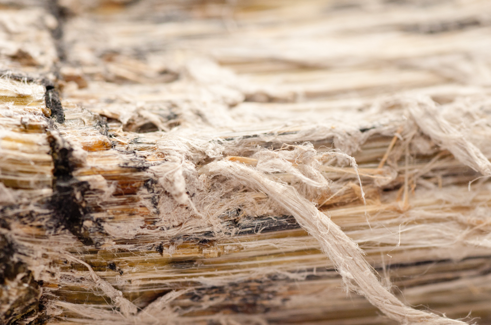 Asbestos Removal in Bedford Park, Illinois: Understanding Mesothelioma