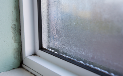 Identifying the Existence of Mold in Your Home or Commercial Property