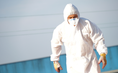 Five Things to Look for in an Asbestos Testing Company in Evanston