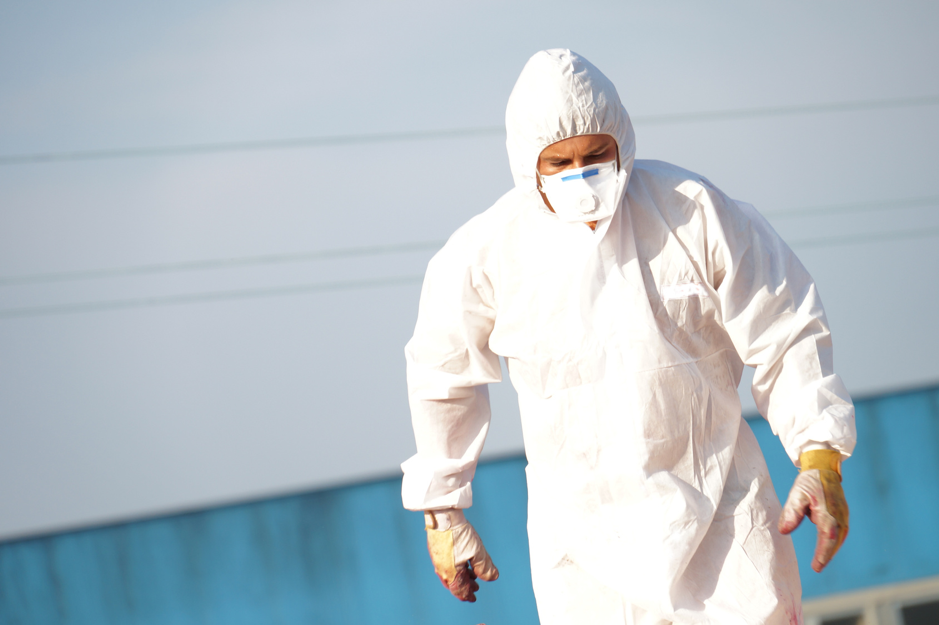 Five Things to Look for in an Asbestos Testing Company in Evanston