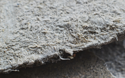 Asbestos Removal Methods and How to Choose an Asbestos Testing and Abatement Company in Elk Grove Village