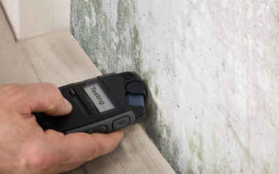 What are ERMI Tests and How are they Conducted in Chicago? Insights from a Chicago Mold Testing and Mold Removal Company