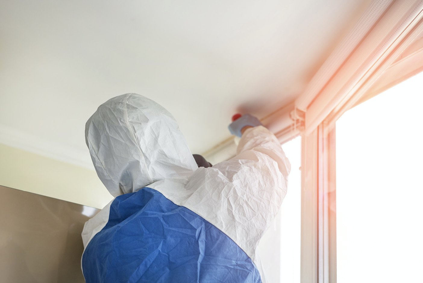 Topranked Chicago Mold Testing and Mold Remediation Company