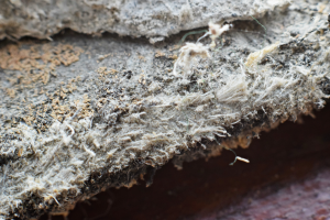 Asbestos testing and removal company in Morton Grove Illinois