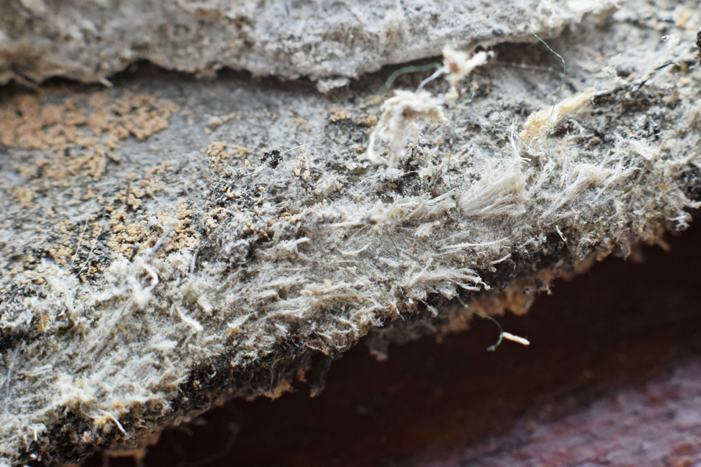 Things Homeowners Should Know About Asbestos: Insights from an Asbestos Testing and Removal Company in Morton Grove, Illinois