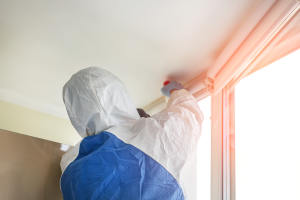Mold removal company in Bedford Park Illinois