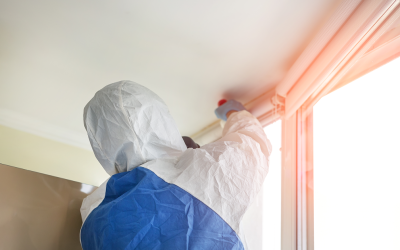Common Signs That Your Commercial Building Contains Mold: Insights from a Mold Removal Company in Bedford Park, Illinois