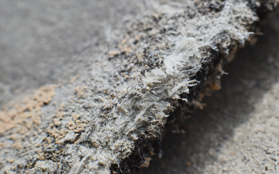 Health Risks Posed by Asbestos in The Workplace: Insights from an Asbestos Removal Contractor in Palatine, Illinois