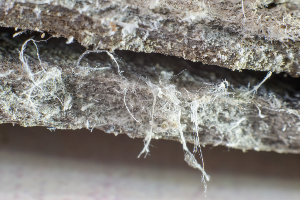 Why Is Asbestos Removal a Tricky Process? Insights from an Asbestos Removal Contractor in Niles, Illinois
