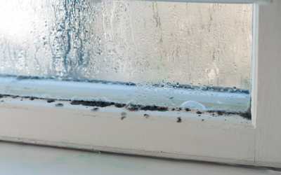 How to Prevent Mold Growth on Your Windows During Winter: Tips from a Mold Removal Contractor in Morton Grove, Illinois