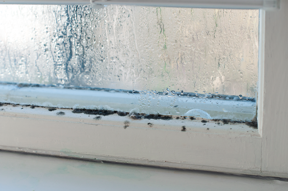 How to Prevent Mold Growth on Your Windows During Winter: Tips from a Mold Removal Contractor in Morton Grove, Illinois