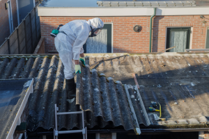 Asbestos removal company in Mount Prospect Illinois