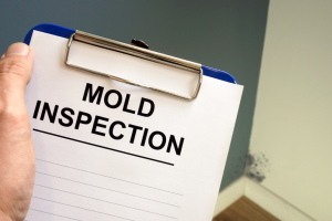 Mold removal company in Des Plaines Illinois