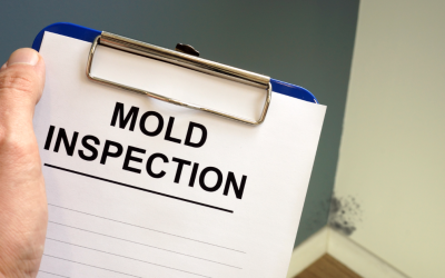 Buying a Property? Don’t Forget Your Mold Inspection: Insights from a Mold Removal Company in Des Plaines, Illinois