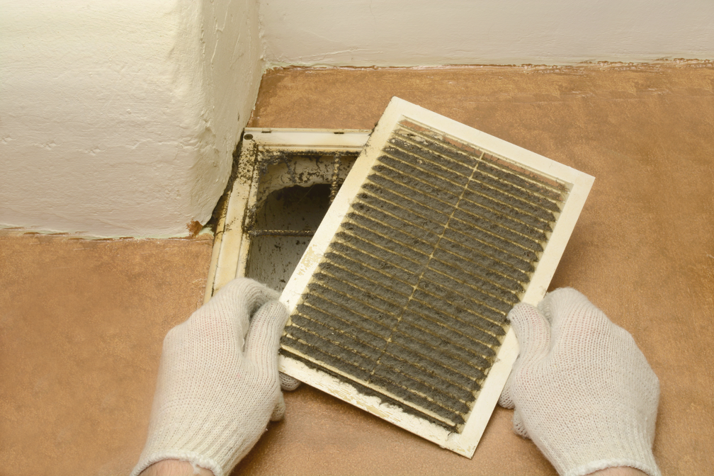 What Causes Mold Growth in Your Office Building? Insights from a Mold Removal Company in Northbrook, Illinois