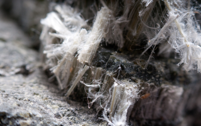 Is Your Insulation Cellulose or Asbestos? Insights from an Asbestos Removal Contractor in Schaumburg, Illinois