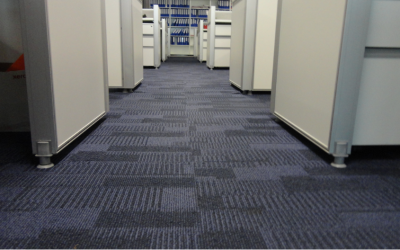 Dealing With Carpet Mold in Commercial Buildings: Insights from a Mold Removal Company in Evanston, Illinois