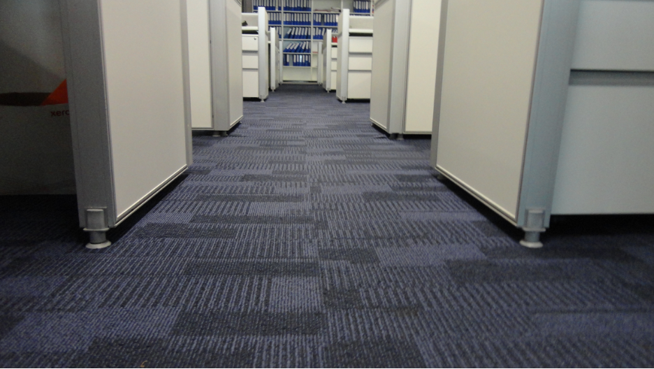 Dealing With Carpet Mold in Commercial Buildings: Insights from a Mold Removal Company in Evanston, Illinois