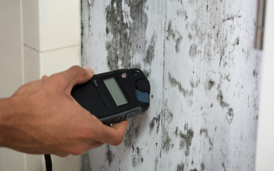 What’s the 24–72 Hour Rule? Insights from a Mold Removal Contractor in Des Plaines, Illinois