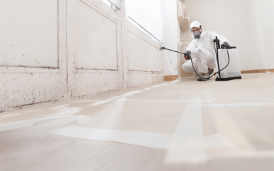 What Are the Risks of Mold in Commercial Buildings? A Mold Removal Contractor in Deerfield, Illinois Explains