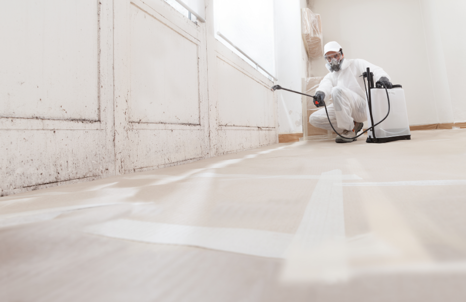 What Are the Risks of Mold in Commercial Buildings? A Mold Removal Contractor in Deerfield, Illinois Explains