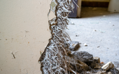 What Are the Health Risks of Asbestos Exposure? Insights from an Asbestos Removal Contractor in Morton Grove, Illinois