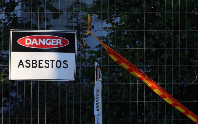 What Should Business Owners Do If Asbestos Is Discovered During Renovations? Insights from an Asbestos Removal Company in Elk Grove Village, Illinois